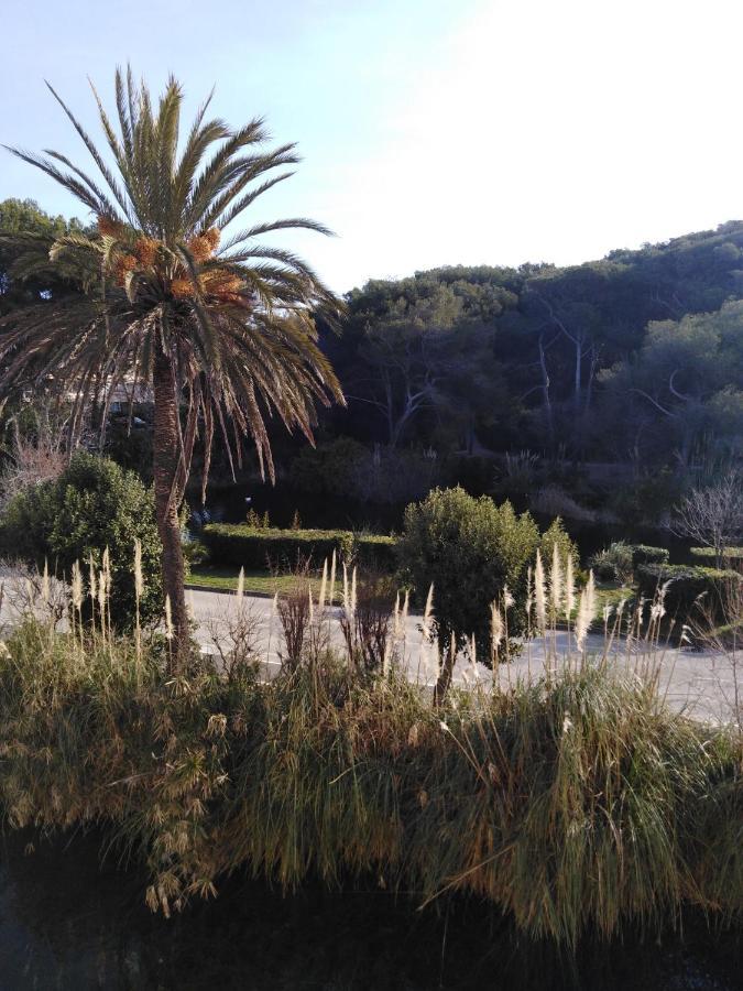 Appartement T2 Avec Piscine A 100 M De La Plage Six-Fours-les-Plages Exterior photo